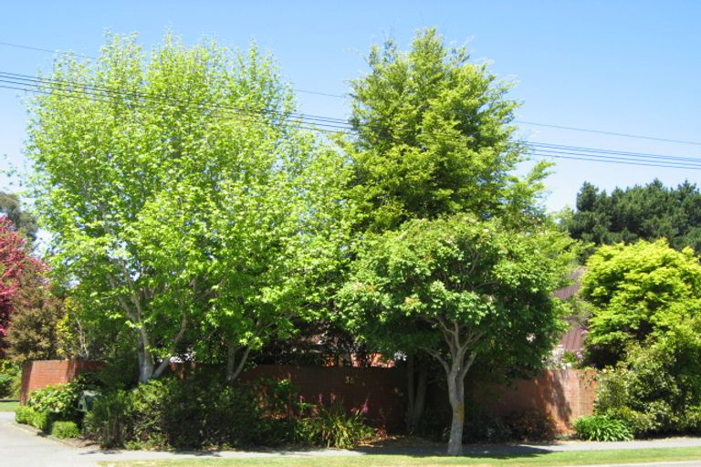 Photo of property in 36 Greers Road, Burnside, Christchurch, 8041