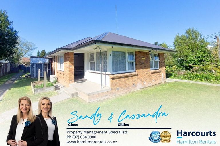 Photo of property in 27a Horne Street, Hamilton Central, Hamilton, 3204