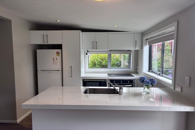 Photo of property in 13 Macnee Street, Mornington, Dunedin, 9011