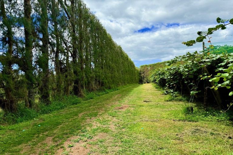 Photo of property in 29 I'anson Road, Minden, 3179