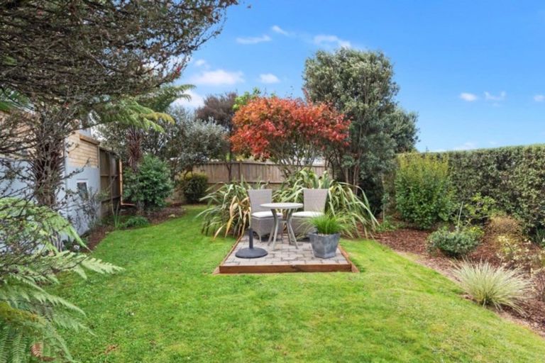 Photo of property in 117 Howell Avenue, Hillcrest, Hamilton, 3216