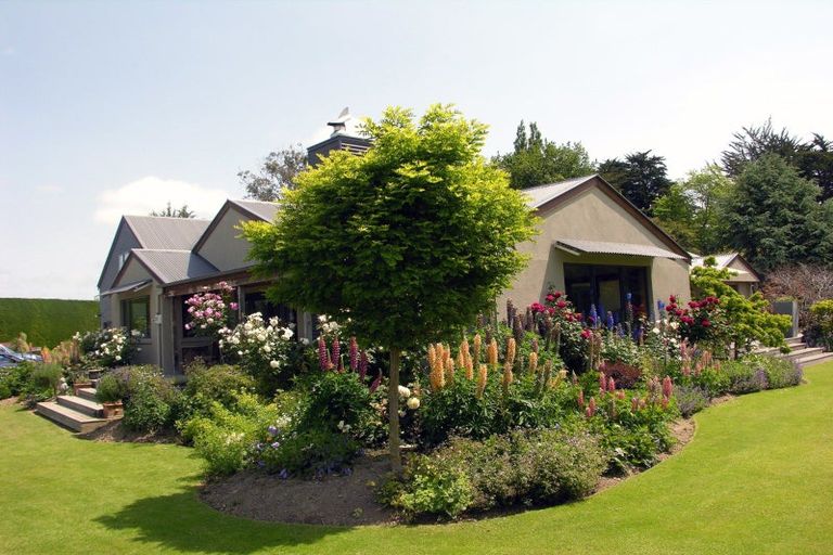 Photo of property in 201 Lochiel Branxholme Road, Lochiel, Winton, 9781