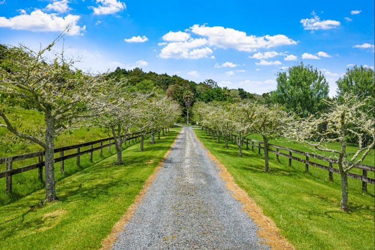 Photo of property in 725 Woodcocks Road, Kaipara Flats, Warkworth, 0981