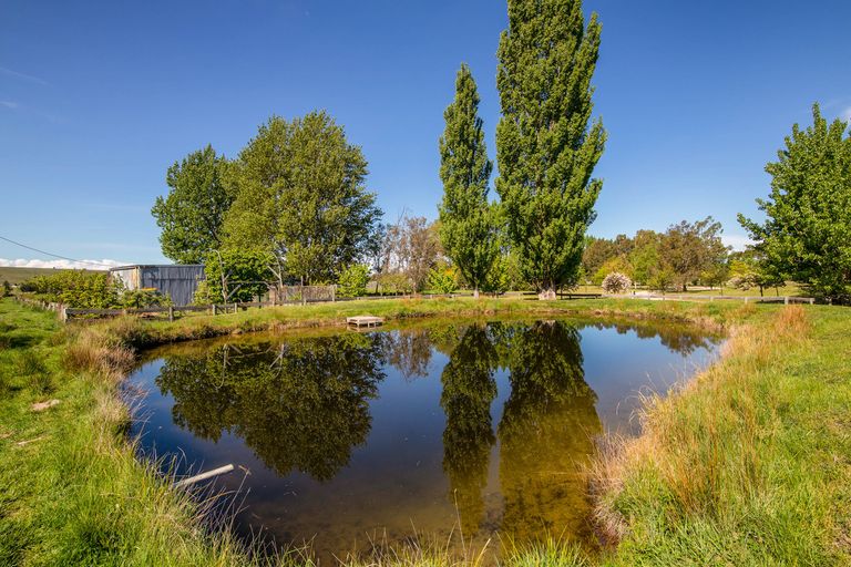 Photo of property in 1031 Earnscleugh Road, Earnscleugh, Alexandra, 9391