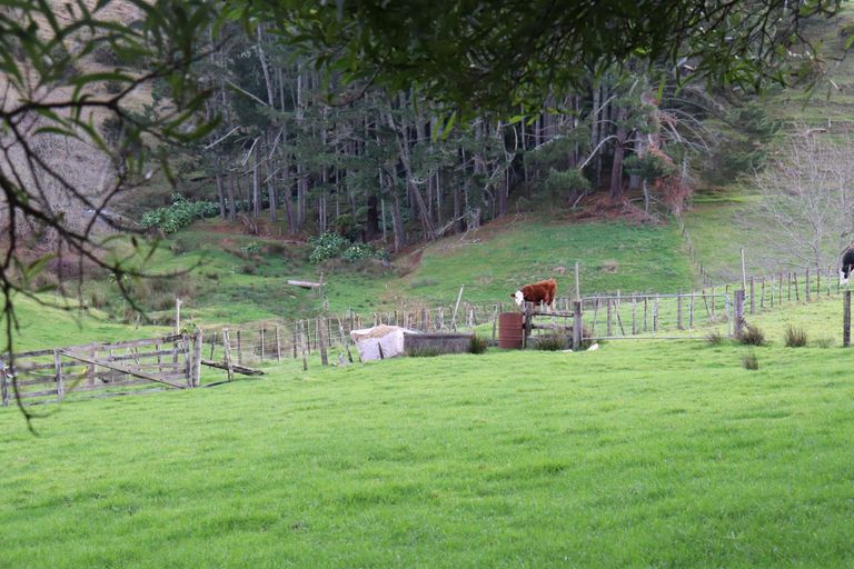 Photo of property in 80 Te Puroa Road, Ngaruawahia, 3793