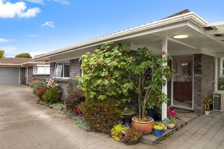 Photo of property in 28b Grey Street, Glenholme, Rotorua, 3010