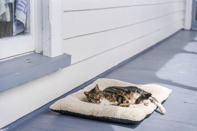 Photo of property in 14 Charis Lane, Wellsford, 0975