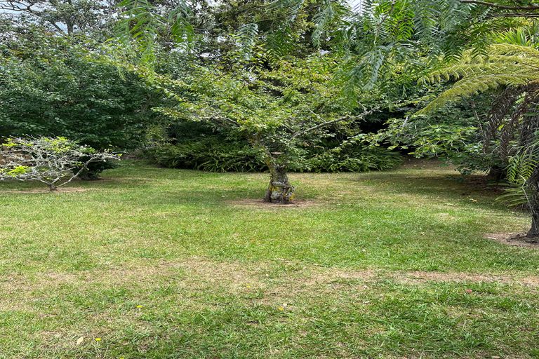 Photo of property in 35 Matipo Road, Mairangi Bay, Auckland, 0630