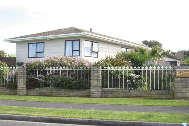 Photo of property in 12 Sheffield Place, Springvale, Whanganui, 4501