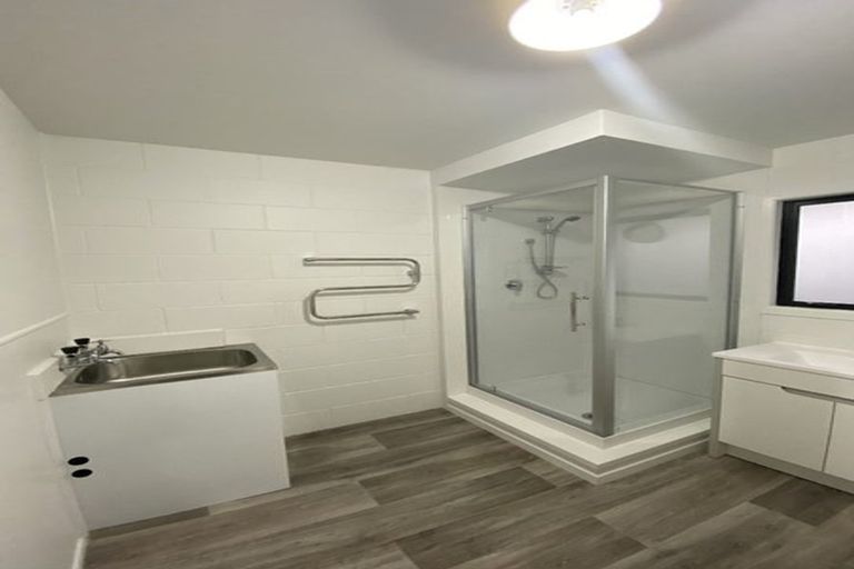 Photo of property in 150 Firth Street, Hamilton East, Hamilton, 3216