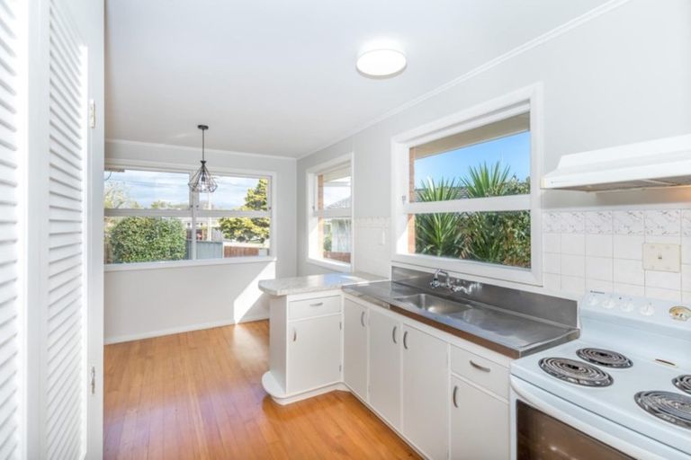 Photo of property in 91 Bruce Avenue, Glenview, Hamilton, 3206