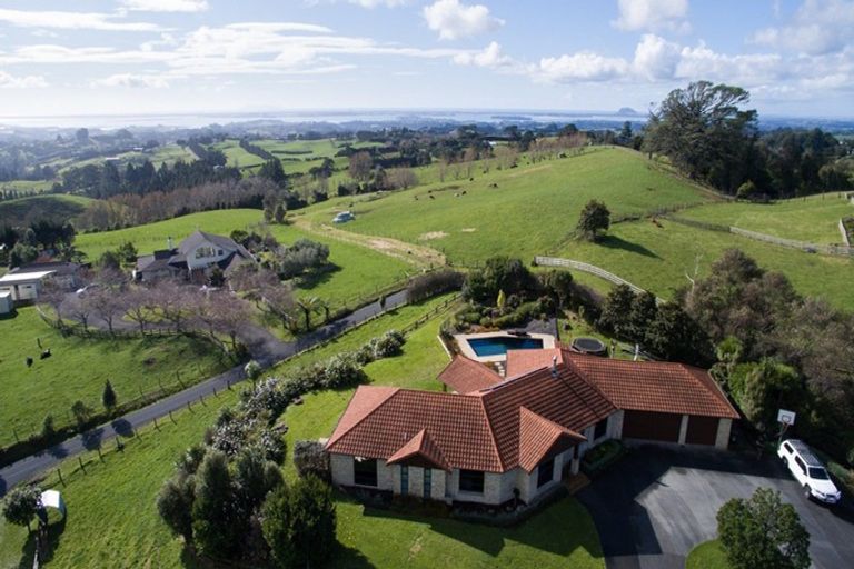 Photo of property in 175 Tim Road, Whakamarama, Tauranga, 3180