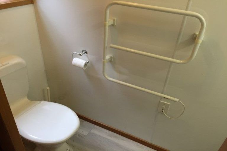 Photo of property in 18 Pine Avenue, Henderson, Auckland, 0612