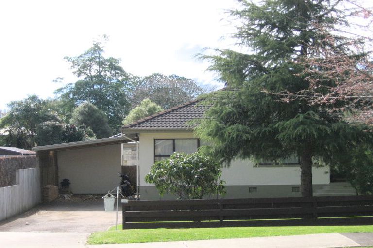 Photo of property in 51 Seventeenth Avenue, Tauranga South, Tauranga, 3112