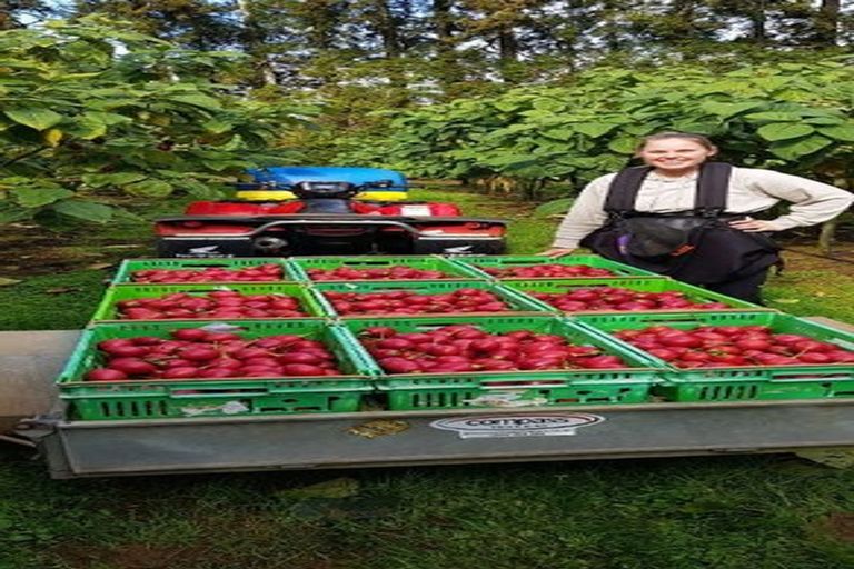 Photo of property in 25 Cottle Hill Drive, Kerikeri, 0293