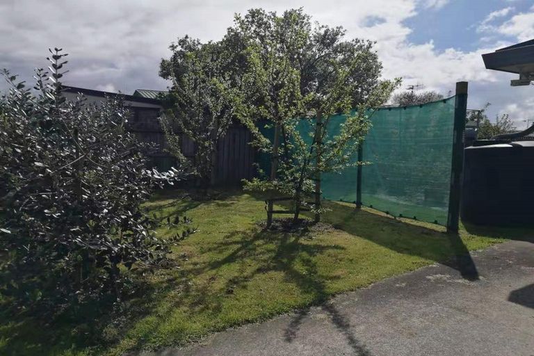 Photo of property in 50 Solomon Street, Brookfield, Tauranga, 3110