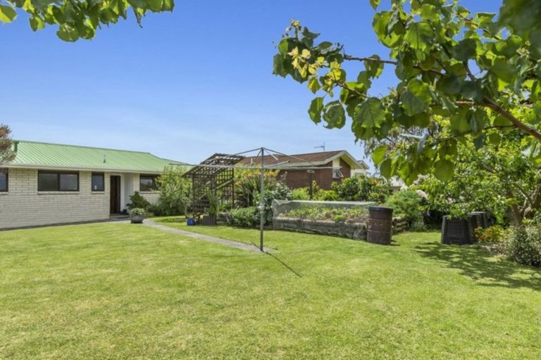 Photo of property in 94 Boucher Avenue, Te Puke, 3119