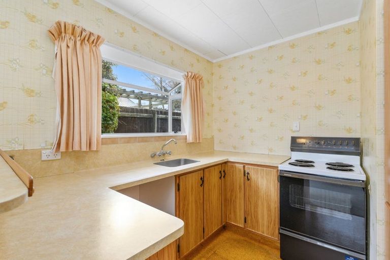 Photo of property in 45c Elizabeth Street, Victoria, Rotorua, 3010