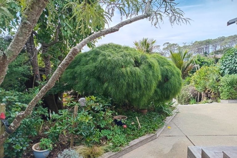 Photo of property in 6 Kaiwaka-mangawhai Road, Mangawhai, Kaiwaka, 0573