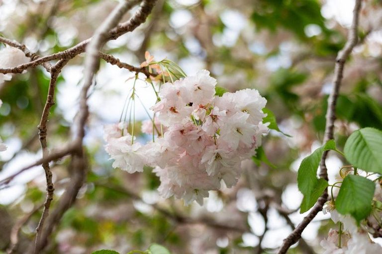 Photo of property in 131 Upland Road, Kelburn, Wellington, 6012