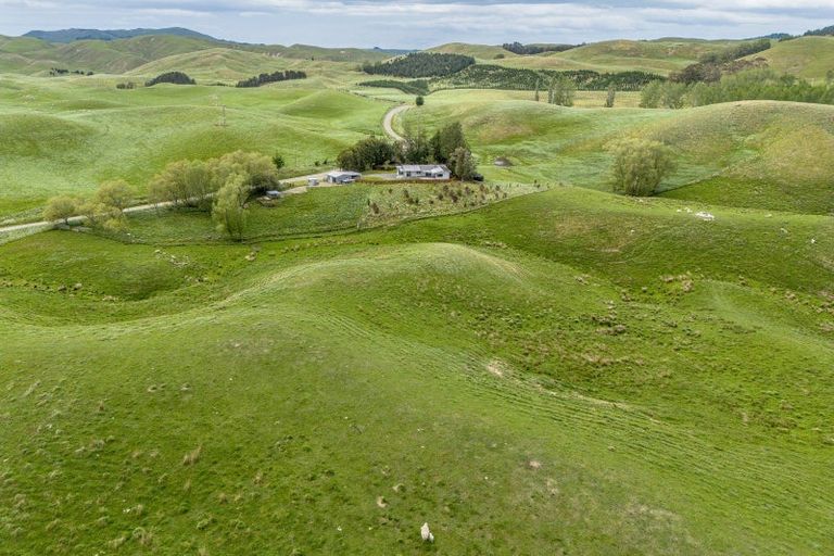 Photo of property in 209 Pattison Road, Akina, Hastings, 4122