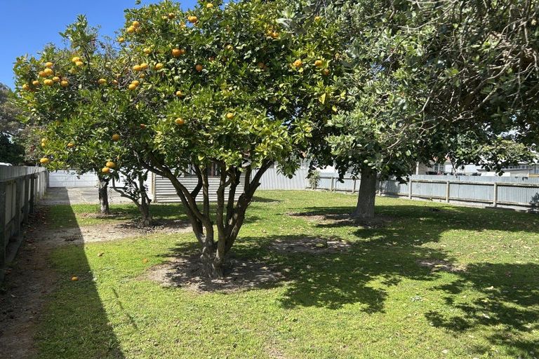 Photo of property in 136a Nuffield Avenue, Marewa, Napier, 4110