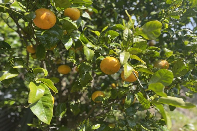 Photo of property in 94 Hill Road, Belmont, Lower Hutt, 5010