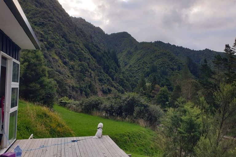 Photo of property in 1044 Pakihi Road, Toatoa, Opotiki, 3197