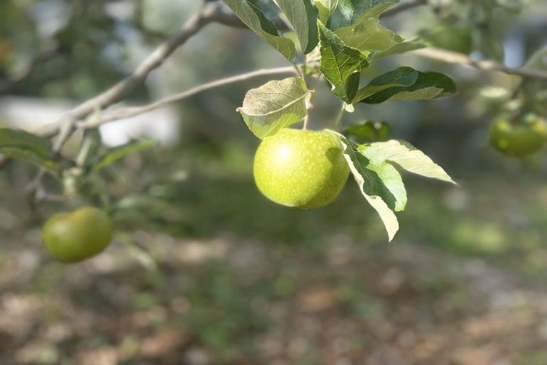 Photo of property in 94 Hibiscus Coast Highway, Red Beach, 0932