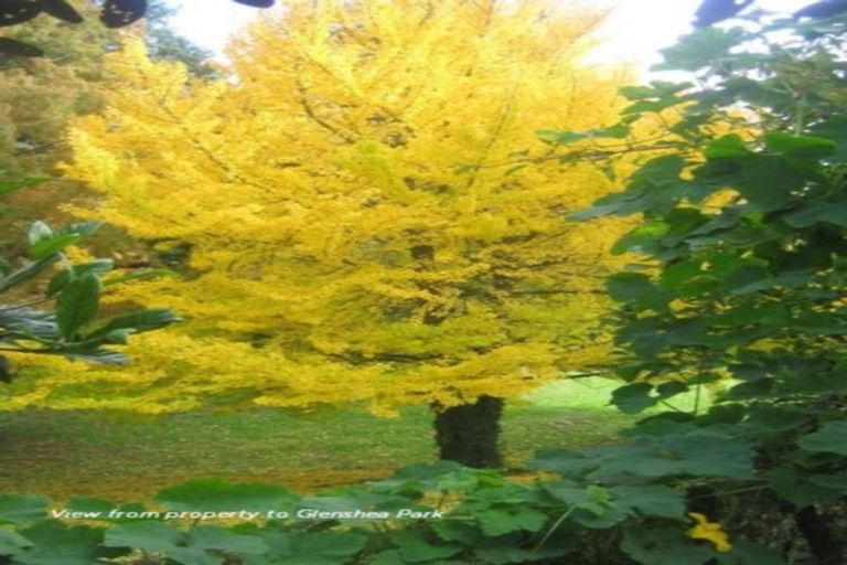 Photo of property in 50 Overdale Street, Putaruru, 3411