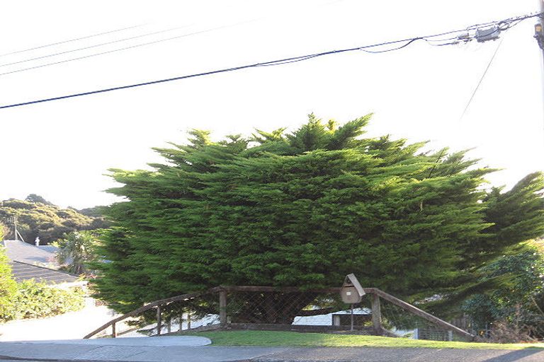 Photo of property in 49 Leinster Avenue, Raumati South, Paraparaumu, 5032