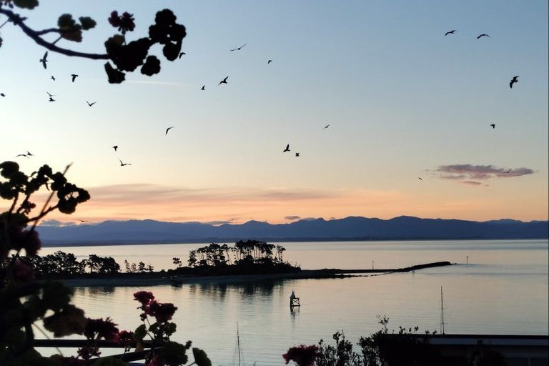 Photo of property in 11 Fifeshire Crescent, Stepneyville, Nelson, 7010