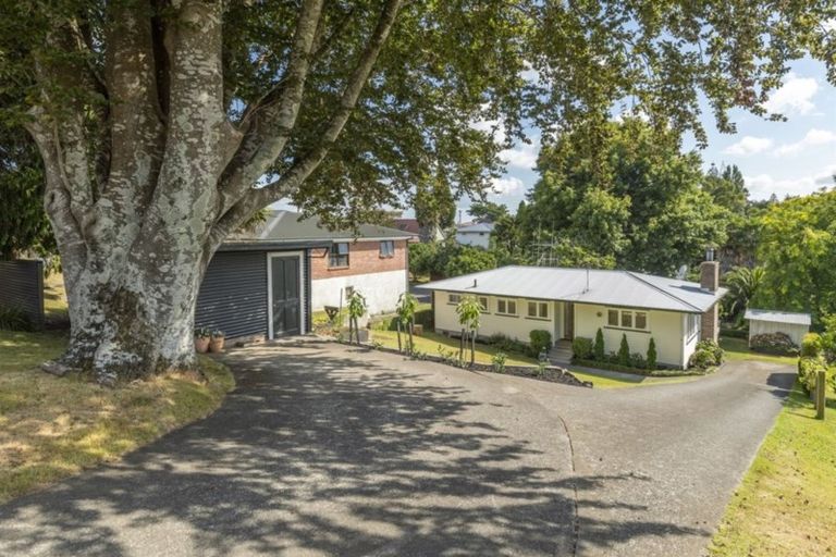 Photo of property in 49 Kiteroa Street, Greerton, Tauranga, 3112