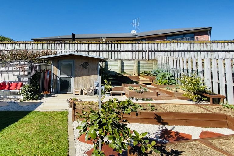 Photo of property in 62 Kacey Avenue, Te Awamutu, 3800