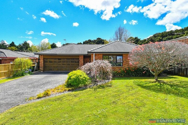 Photo of property in 28 Lemonwood Place, The Gardens, Auckland, 2105