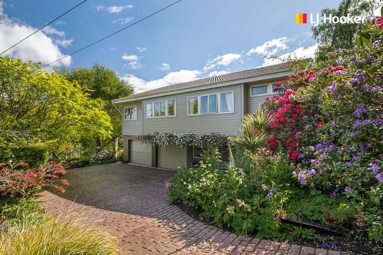 Photo of property in 193 Evans Street, Opoho, Dunedin, 9010