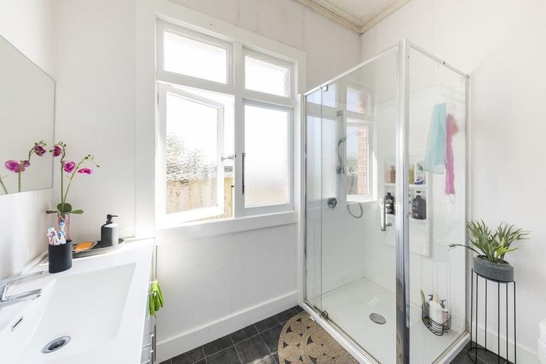 Photo of property in 53 Limbrick Street, Terrace End, Palmerston North, 4410