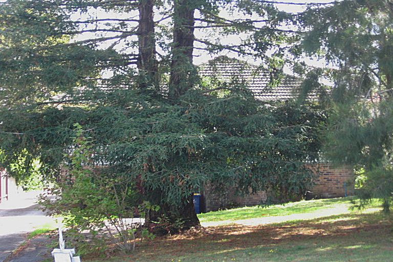 Photo of property in 1/23 Stottholm Road, Titirangi, Auckland, 0604