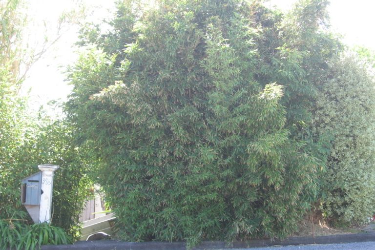 Photo of property in 57 Churchill Road, Murrays Bay, Auckland, 0630