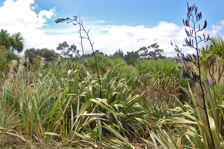 Photo of property in 126 Oneriri Road, Kaiwaka, 0573