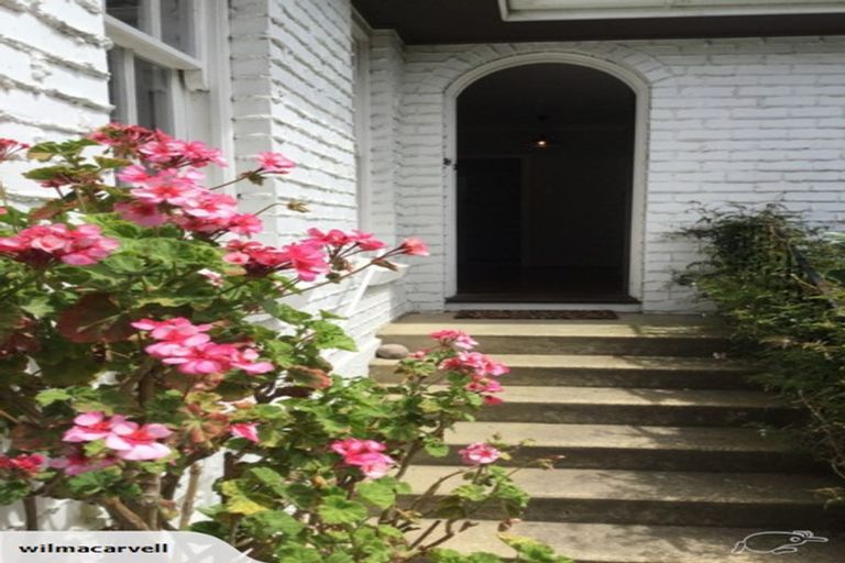 Photo of property in 50a Drivers Road, Maori Hill, Dunedin, 9010