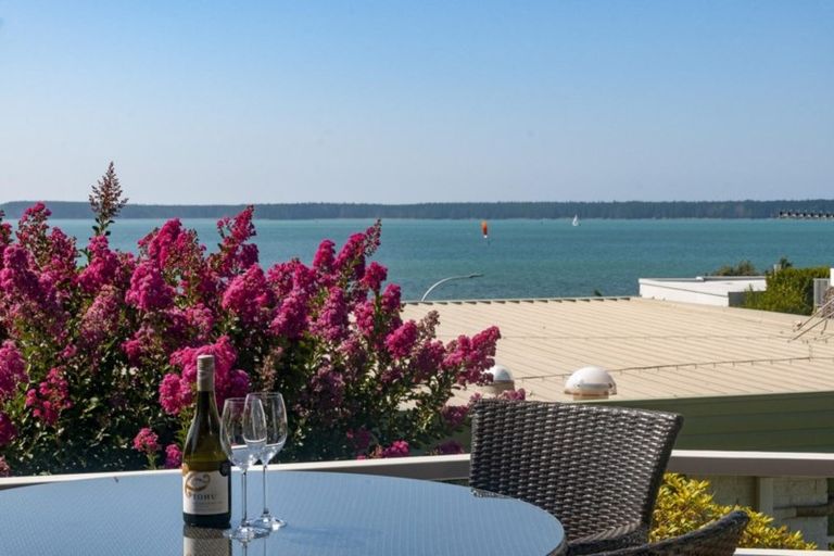 Photo of property in 38 Woods Avenue, Matua, Tauranga, 3110