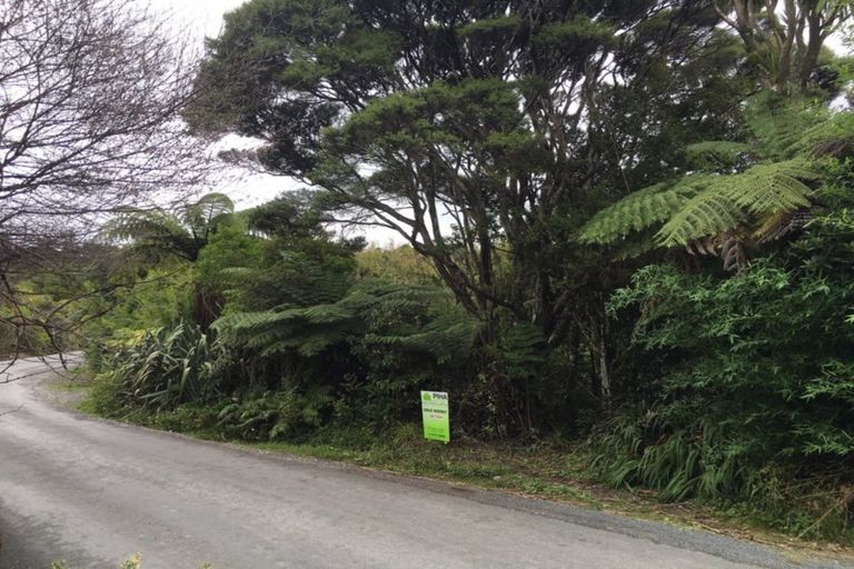 Photo of property in 85 Anawhata Road, Anawhata, Auckland, 0772