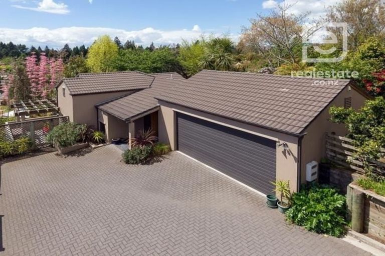 Photo of property in 16a Regent Street, Springfield, Rotorua, 3015