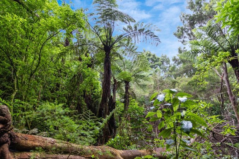 Photo of property in 1863 Takaka-collingwood Highway, Milnthorpe, Collingwood, 7182