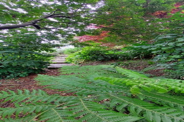 Photo of property in 652c Welcome Bay Road, Waitao, Tauranga, 3175