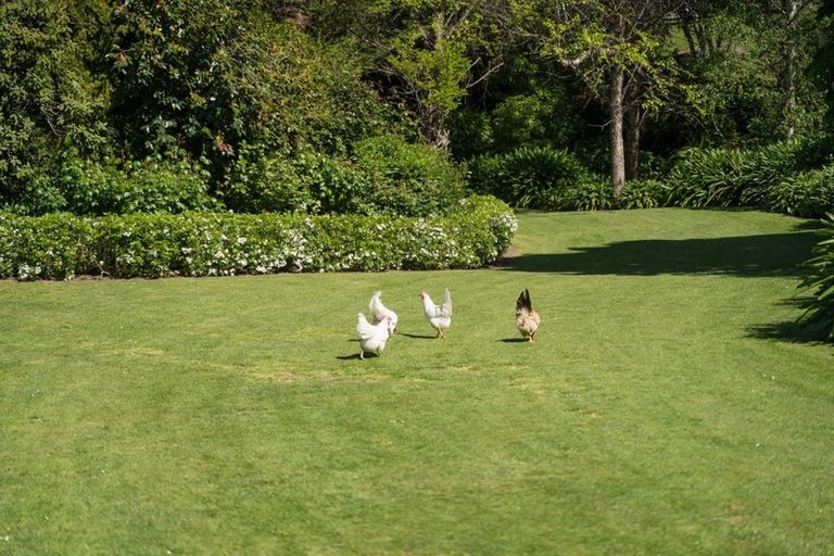 Photo of property in 35 Konini Street, Lansdowne, Masterton, 5810