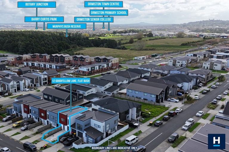 Photo of property in 12 Goodfellow Lane, Flat Bush, Auckland, 2019