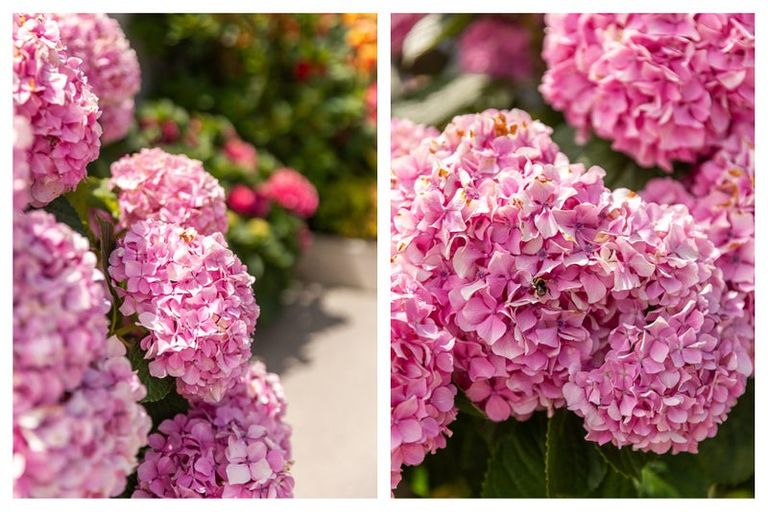 Photo of property in 720 Tararu Sh25 Road, Thames, 3500