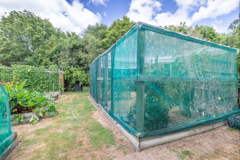 Photo of property in 153 Buller Road, Levin, 5571